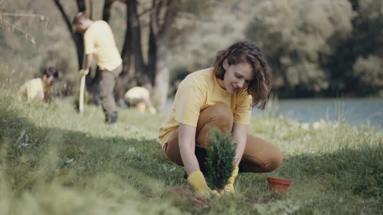 Tree and Shrub Care in Roodhouse, IL